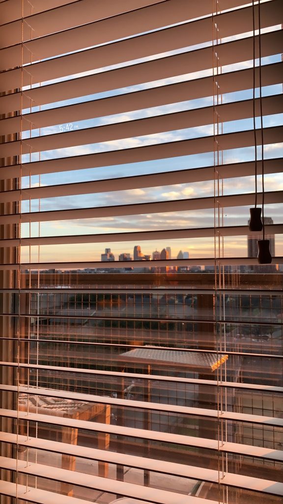 Window View through blinds