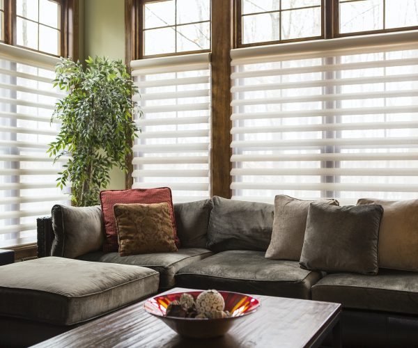 55263,Sofa and blinds in living room