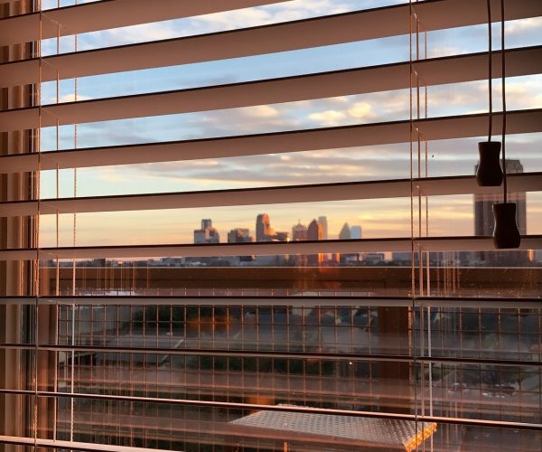 Window View through blinds